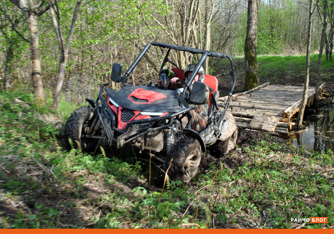 Квадросафари Багги