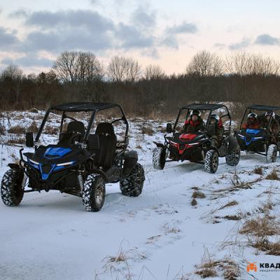 Зимнее багги сафари Зимнее багги сафари