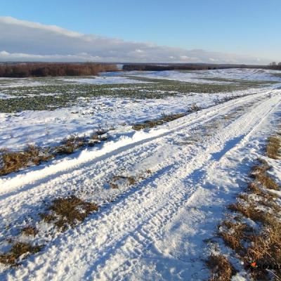 Зимнее багги сафари Зимнее багги сафари